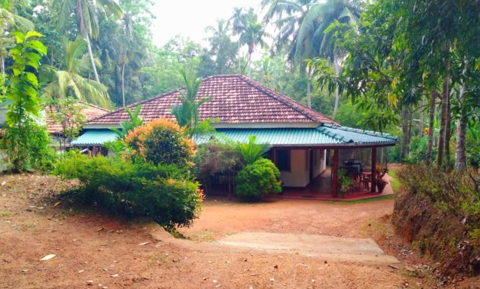 Hiriketiya Green Hill Home Dikwella Eksteriør bilde